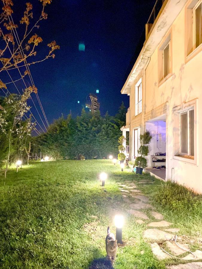 Airport Villa Hotel Arnavutkoy Экстерьер фото